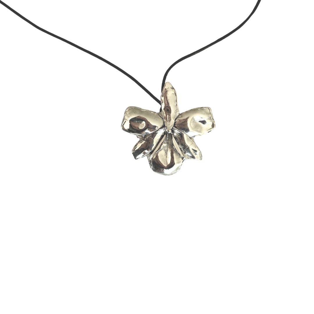 Órquidea Charm